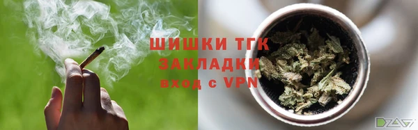 ешки Аркадак