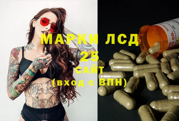 ешки Аркадак