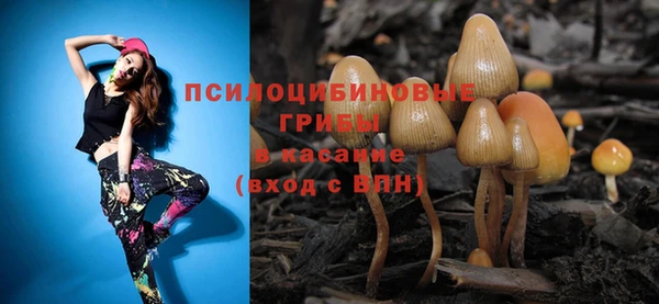 ешки Аркадак